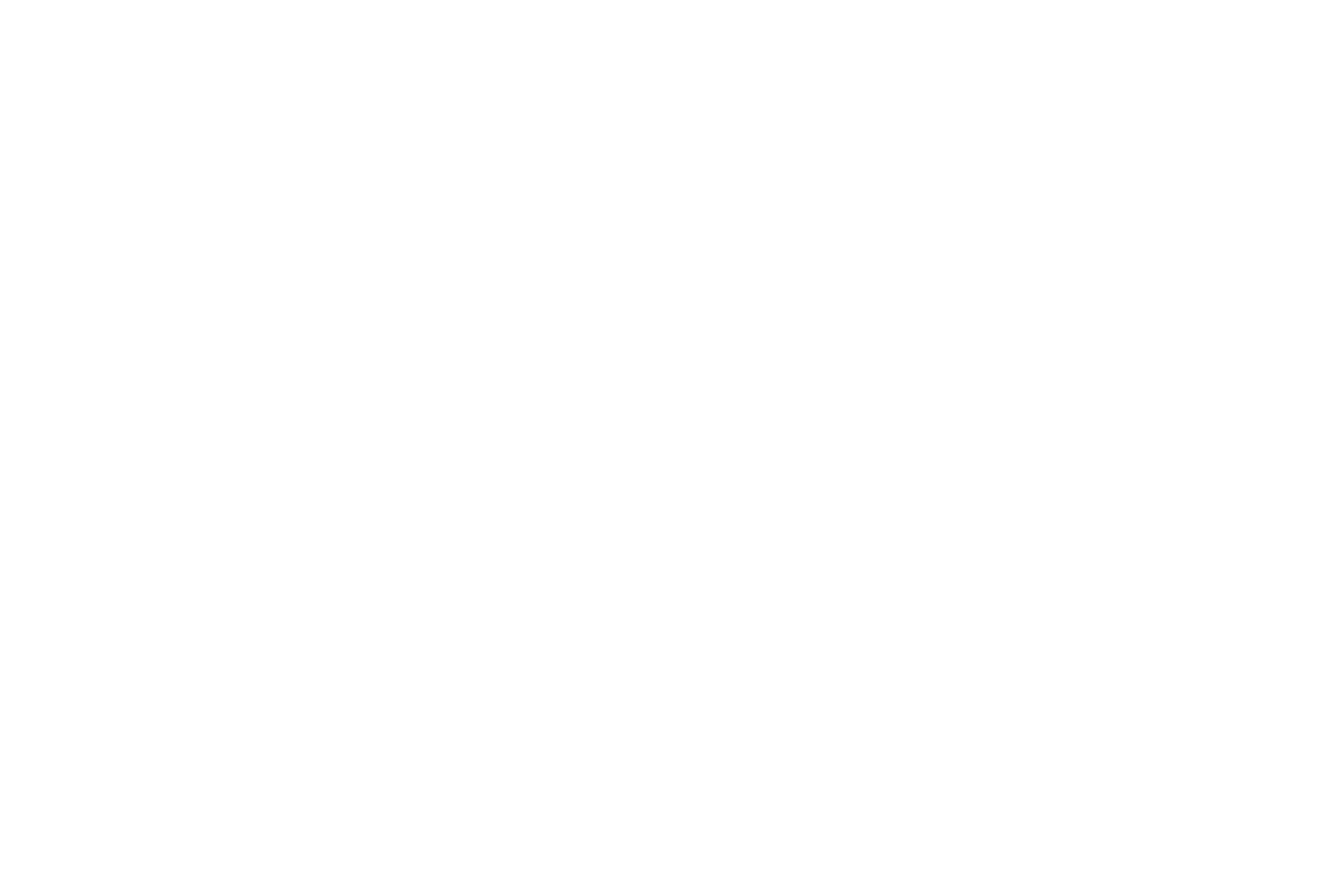 Law Offices of Shawn S. Sedaghat logo